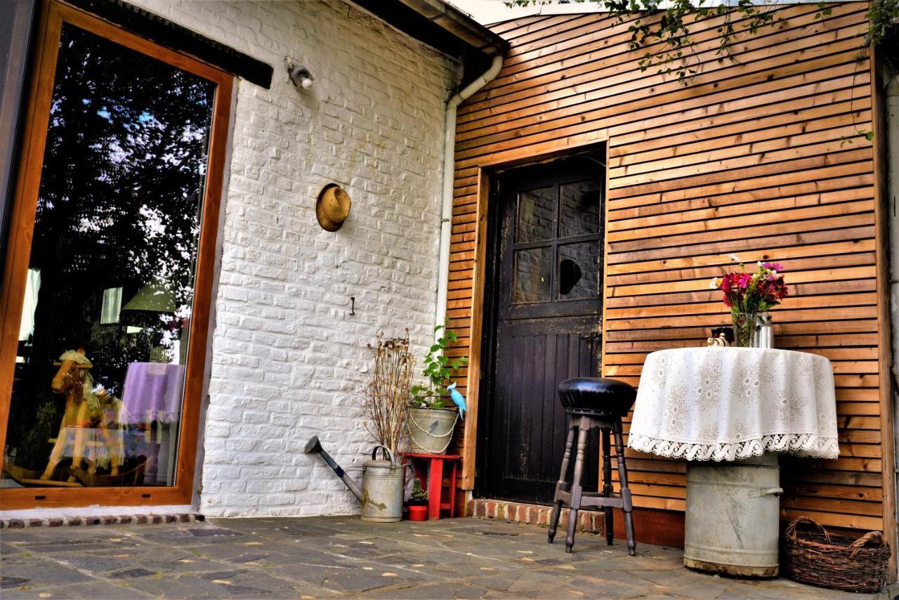 Maison Jeanny, Full House With Big Garden Frasnes-lez-Anvaing Exteriér fotografie