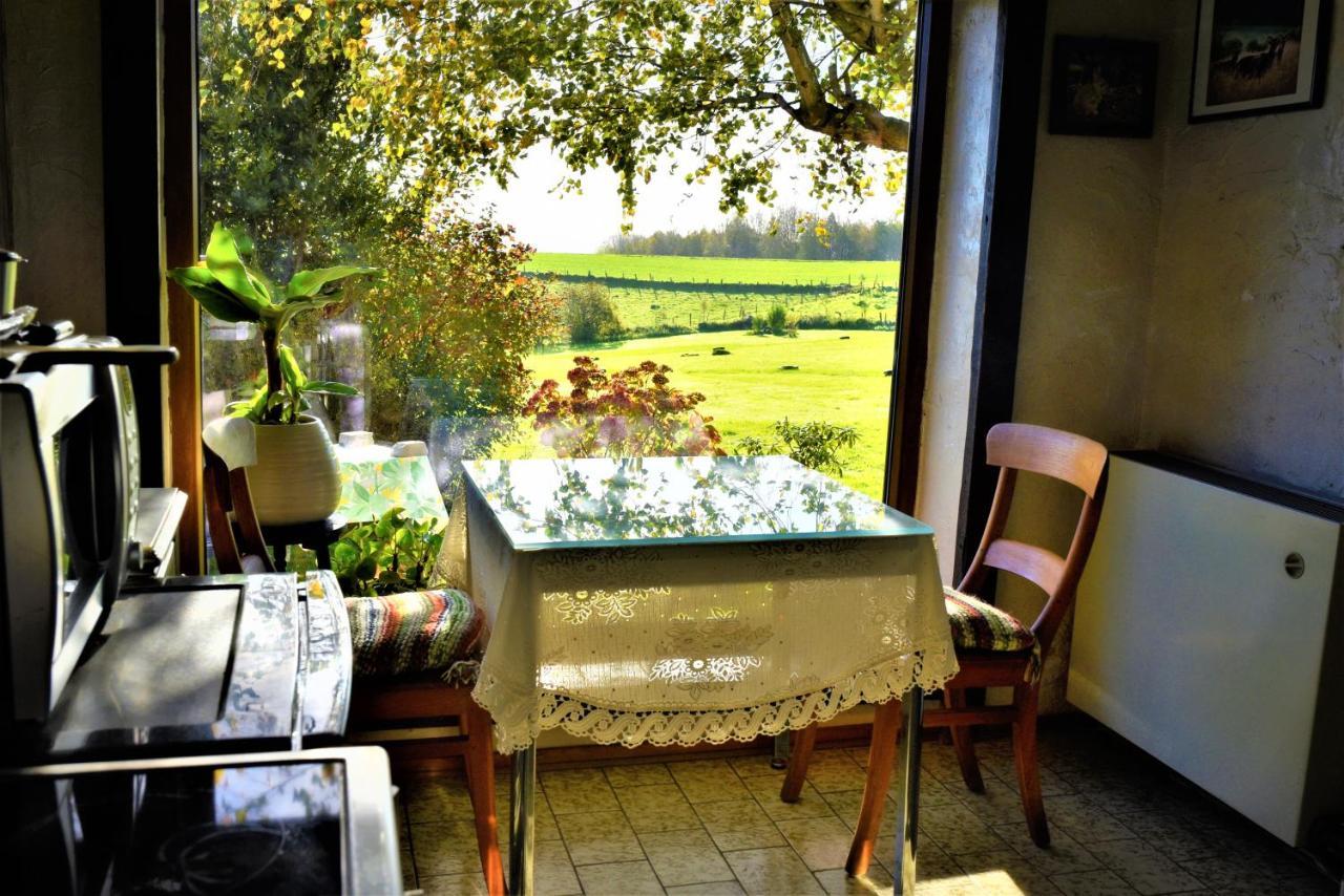 Maison Jeanny, Full House With Big Garden Frasnes-lez-Anvaing Exteriér fotografie