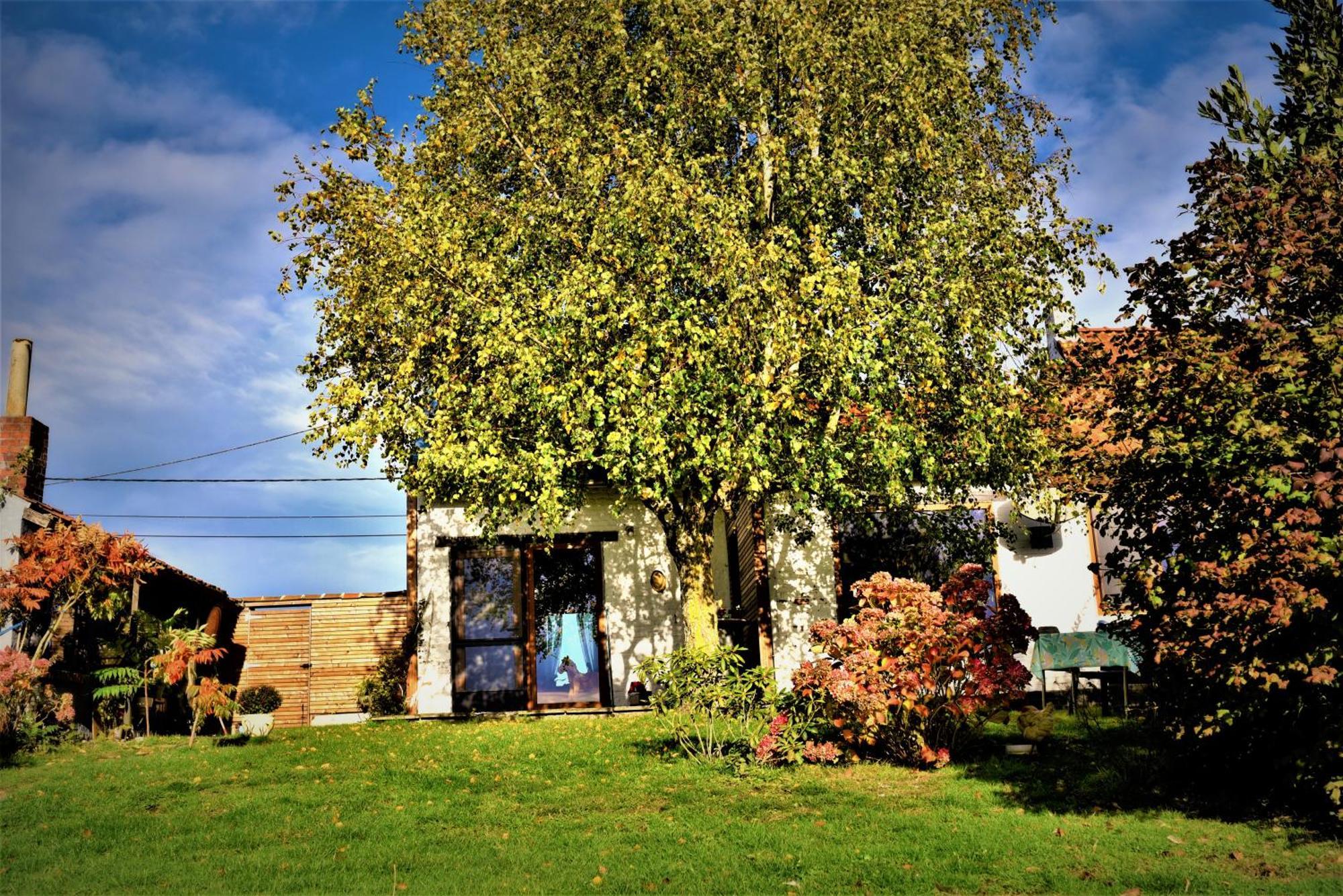Maison Jeanny, Full House With Big Garden Frasnes-lez-Anvaing Exteriér fotografie